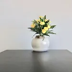 Focus Ocean View